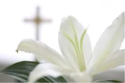 Easter lily in front of a cross